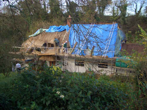 Thatching Arabella's in Dec 04.jpg (2974408 bytes)