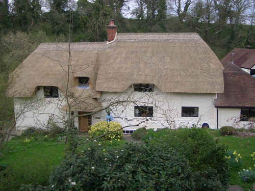 The whole house rethatched in March 05.jpg (1498780 bytes)